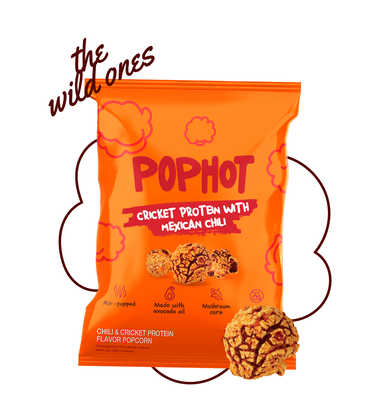 CRICKET PROTEIN WITH MEXICAN CHILI